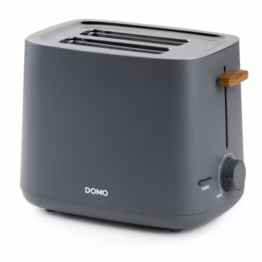 Röster Domo 2-le viilule,1000W, antratsiit